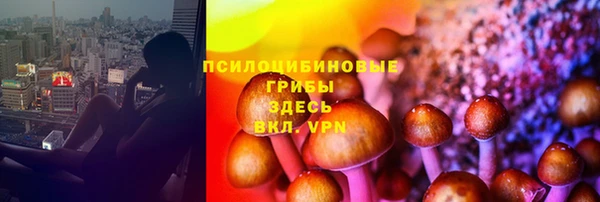 гидра Приозерск