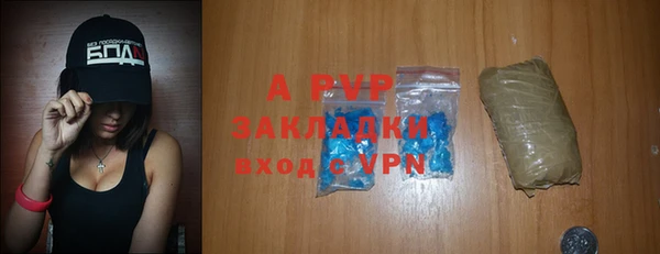 крисы Баксан