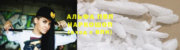 крисы Баксан