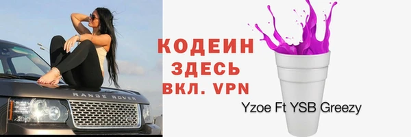 крисы Баксан