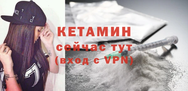 крисы Баксан