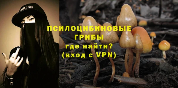 альфа пвп Беломорск