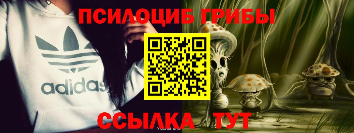 Галлюциногенные грибы Psilocybine cubensis Коммунар